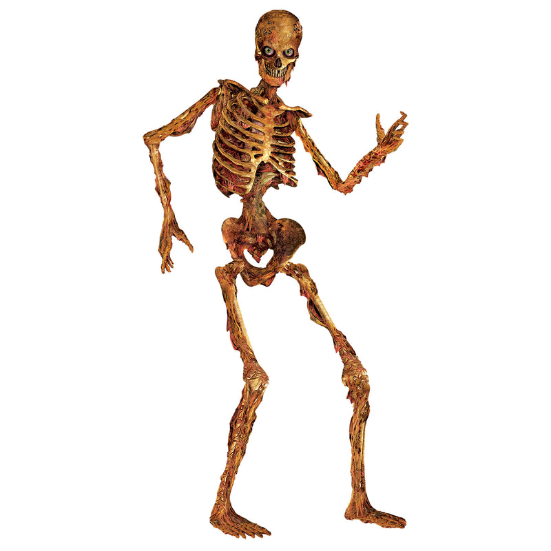 Jointed Skeleton – 6' – (1/Pkg)