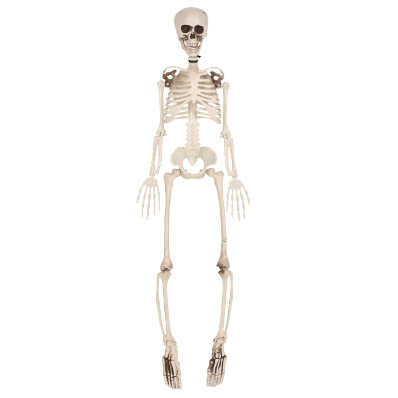 Plastic Skeleton – 3' by Beistle for Halloween Plastic