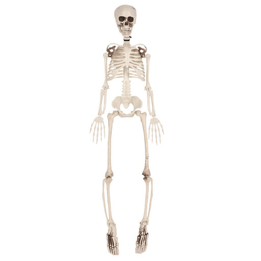 Plastic Skeleton – 3' by Beistle for Halloween Plastic