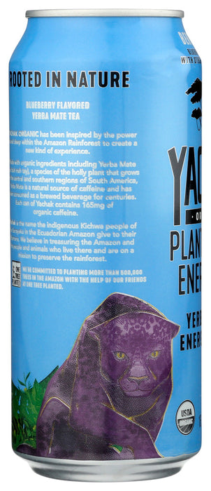 YACHAK ORGANIC: Berry Blue Yerba Mate Energy Drink, 16 fo