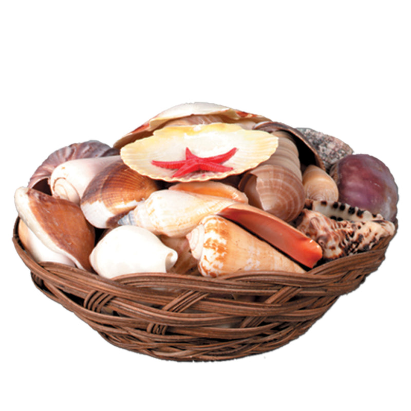 Shell Basket – 6½"