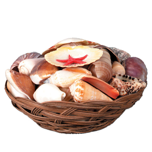 Shell Basket – 6½" by Beistle for Luau Luau Accessories