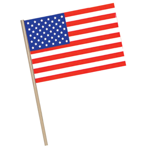 American Flag - Plastic – 11" x 17" by Beistle for Patriotic Flags