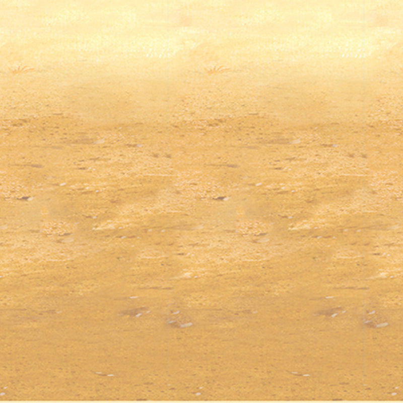 Desert Sand Backdrop – 4' x 30' – (1/Pkg) by Beistle for Western Backdrops