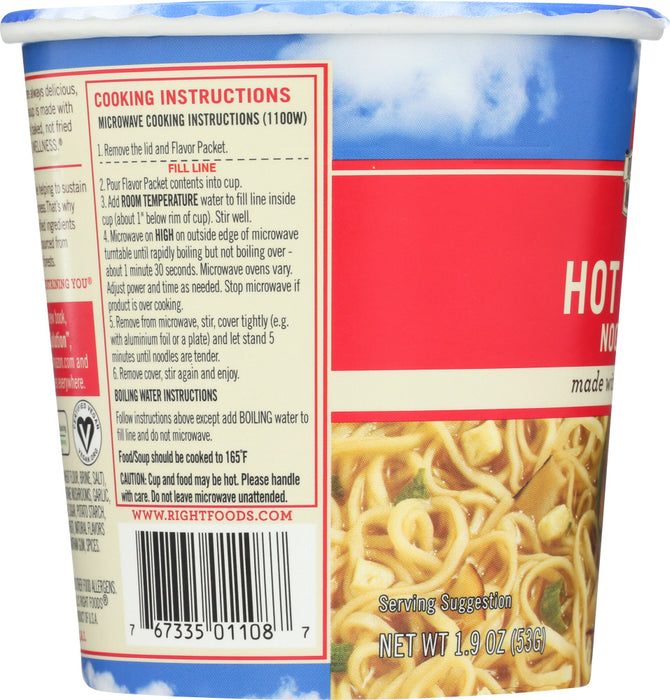 DR MCDOUGALLS: Ramen Soup Vegan Hot & Sour, 1.9 oz