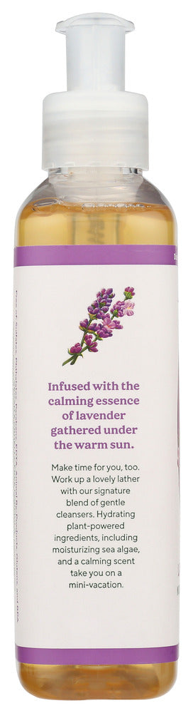 SOUTH OF FRANCE: Lavender Fields Hand Wash, 8 oz