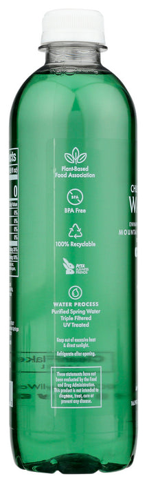 CHLOROPHYLL WATER: Purified Mountain Spring Water, 16.9 fo