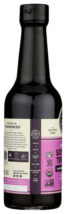 BIG TREE FARMS: Organic Teriyaki Marinade and Sauce, 10 oz