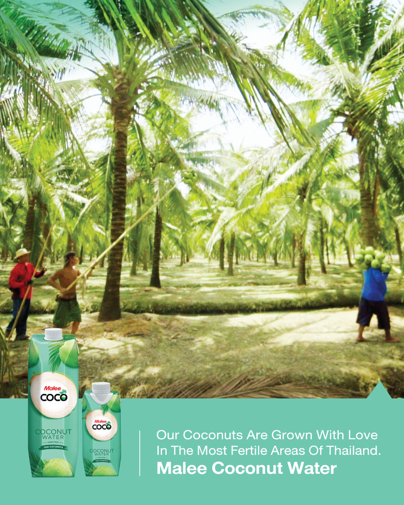 Malee Coconut Water 1000ML 6 Pack