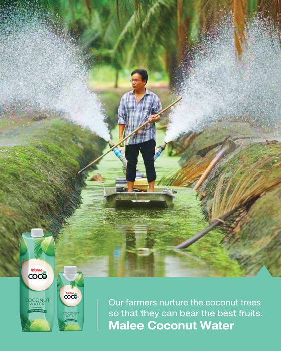 Malee Coconut Water 1000ML 6 Pack