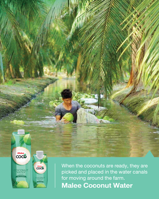 Malee Coconut Water 1000ML 6 Pack