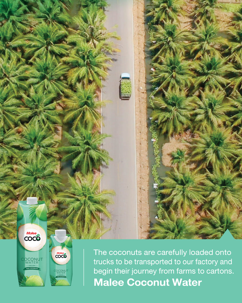 Malee Coconut Water 1000ML 6 Pack