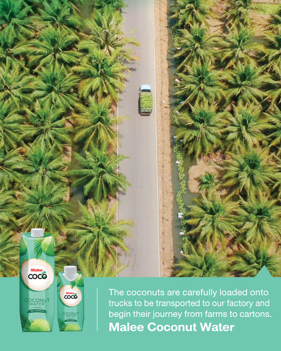 Malee Coconut Water 1000ML 6 Pack