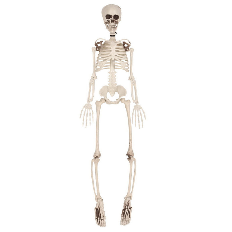 Plastic Skeleton – 3' by Beistle for Halloween