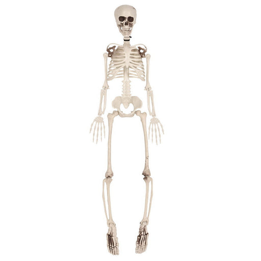 Plastic Skeleton – 3' by Beistle for Halloween