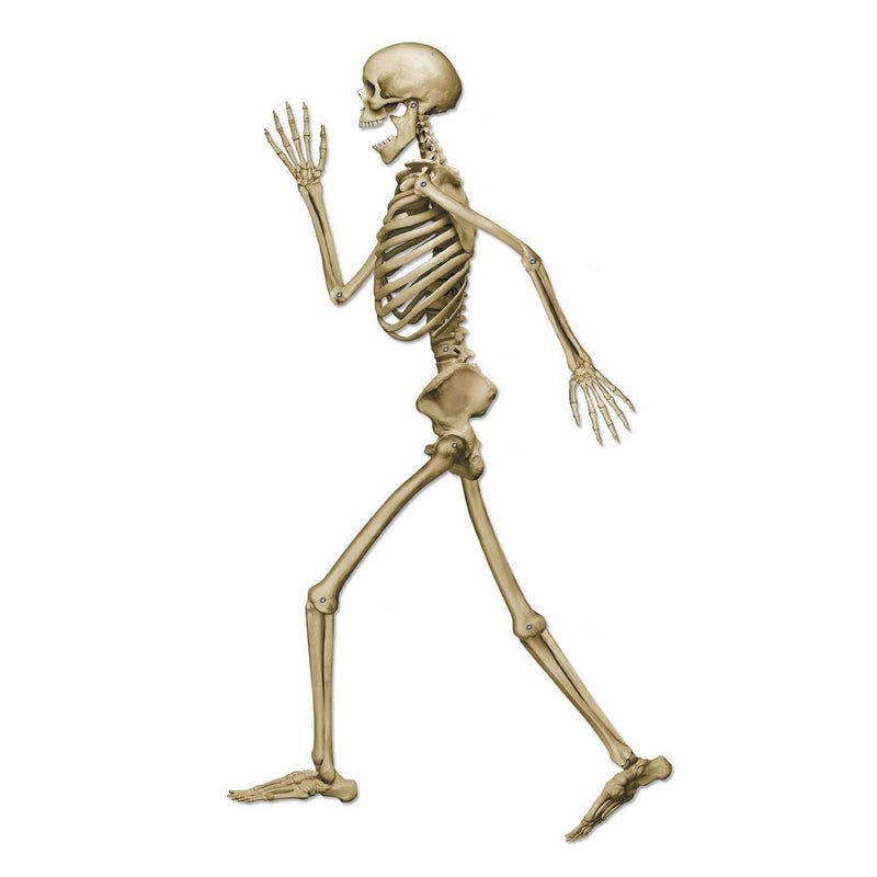 Profile Pete Jointed Skeleton – 3' 1" – (1/Pkg) by Beistle for Halloween Printed Both Sides