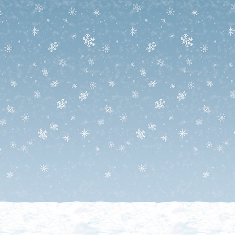 Winter Sky Backdrop – 4' x 30' – (1/Pkg) by Beistle for Christmas and winter Backdrops