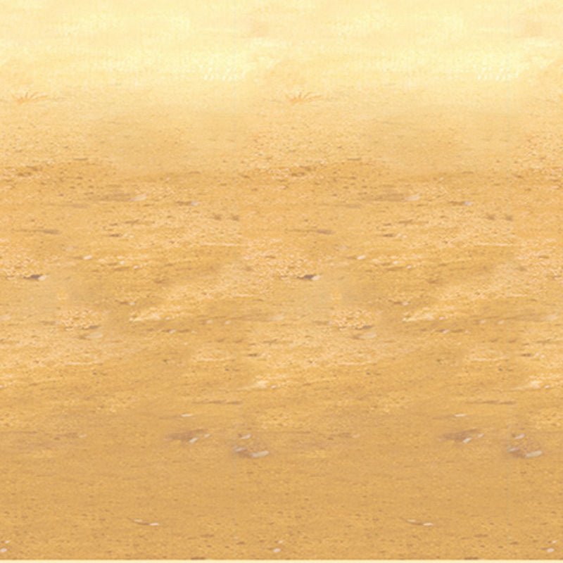 Desert Sand Backdrop – 4' x 30' – (1/Pkg) by Beistle for Western Backdrops