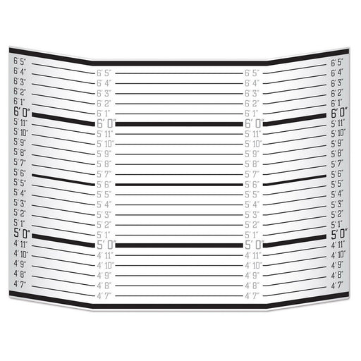 Mug Shot Lineup Photo Prop – 3' 1" x 25" – (1/Pkg) by Beistle for Crime Scene Photo Props