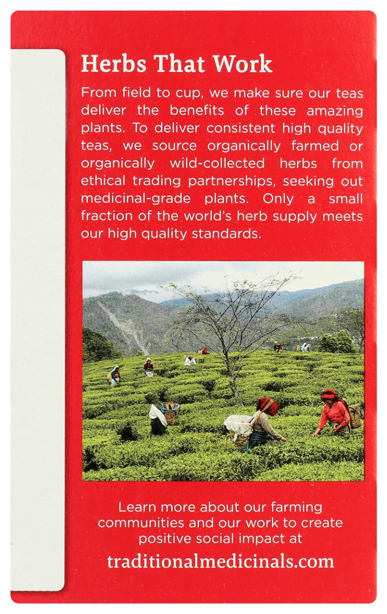 TRADITIONAL MEDICINALS: Echinacea Plus Tea, 16 bg