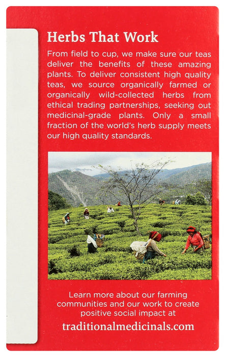 TRADITIONAL MEDICINALS: Echinacea Plus Tea, 16 bg