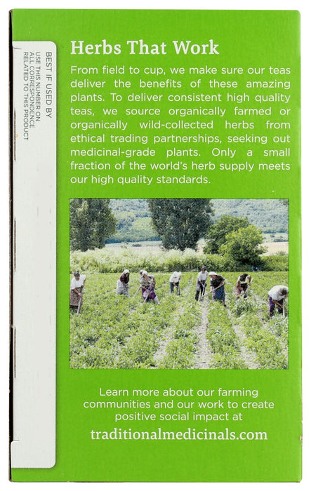 TRADITIONAL MEDICINALS: Green Tea Peppermint, 16 bg