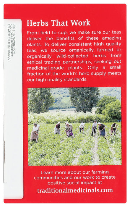 TRADITIONAL MEDICINALS: Echinacea Plus Elderberry Tea, 16 bg