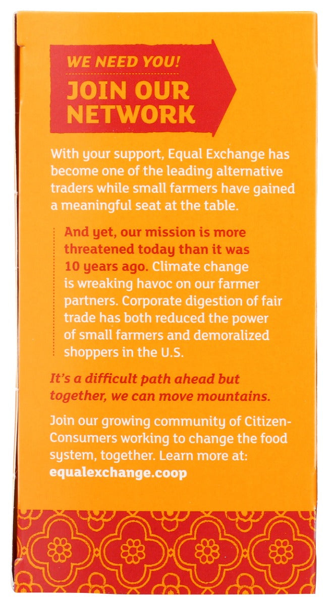 EQUAL EXCHANGE: Organic Turmeric Ginger, 20 bg