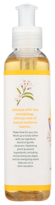 SOUTH OF FRANCE: Lemon Verbena Liquid Hand Soap, 8 oz