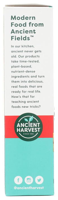 ANCIENT HARVEST: Plant Based Protein Pasta Green Lentil Penne, 9.6 oz