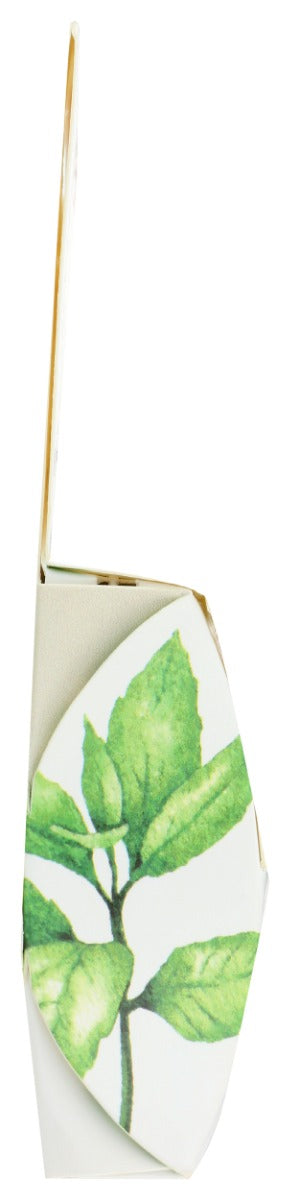 RADIUS: Vegan Sponge Floss Peppermint, 1 ea