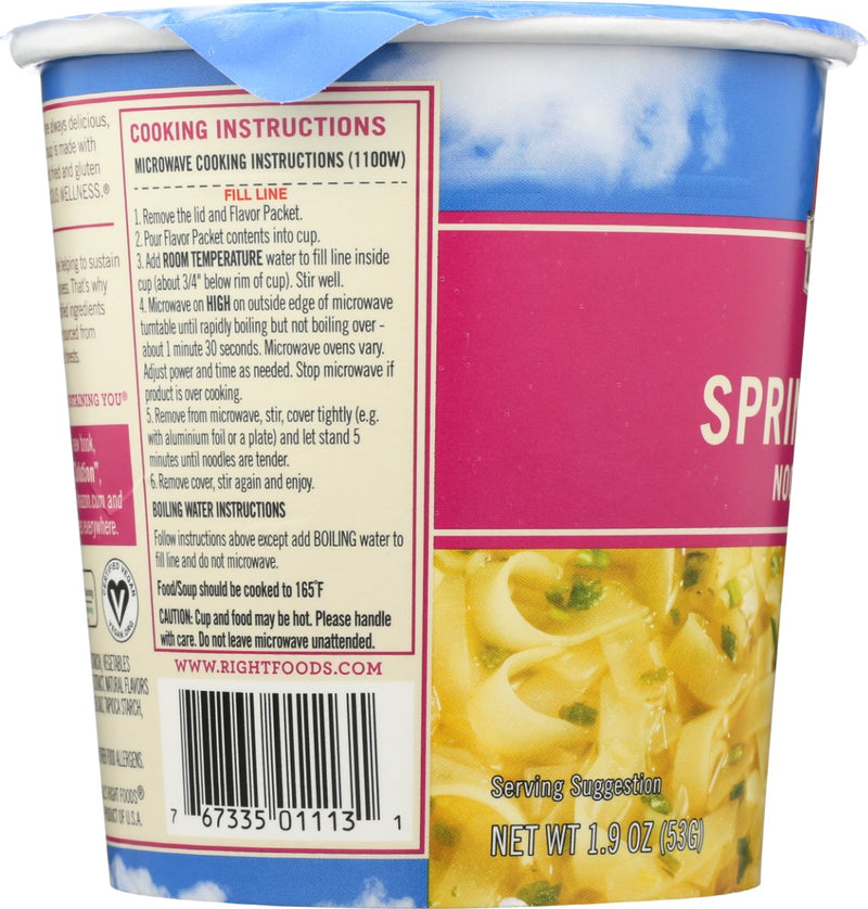 DR MCDOUGALLS: Spring Onion Noodle Soup Cup, 1.9 oz