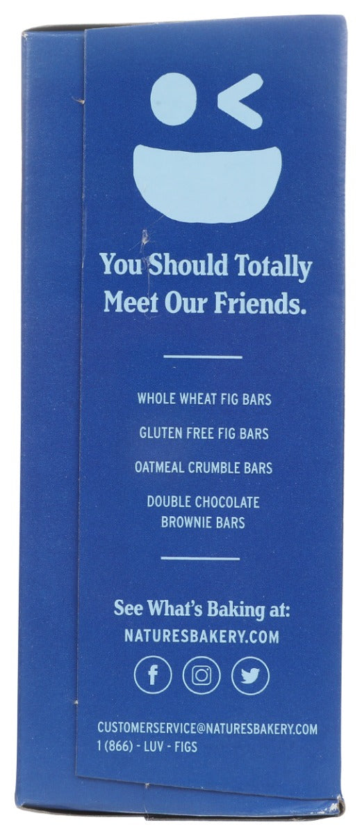 NATURES BAKERY: Whole Wheat Fig Bars Blueberry 6Ct, 12 oz