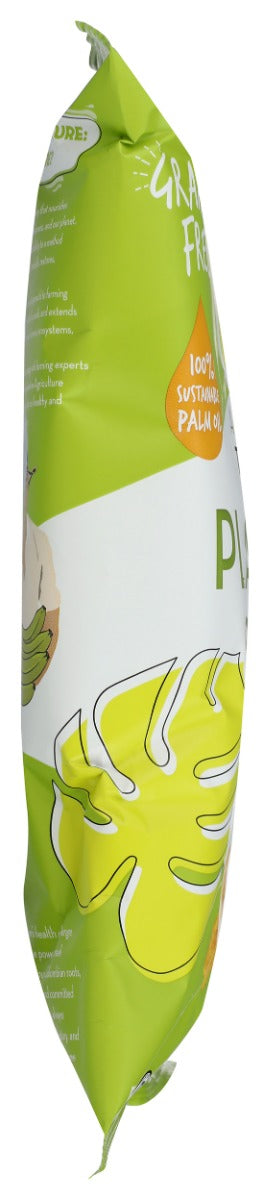 ARTISAN TROPIC: Plantain Strips Sea Salt, 4.5 oz