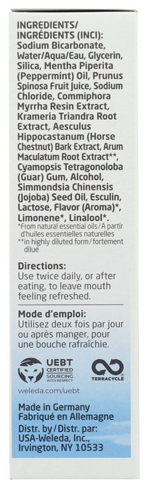 WELEDA: Salt Toothpaste, 2.5 fo