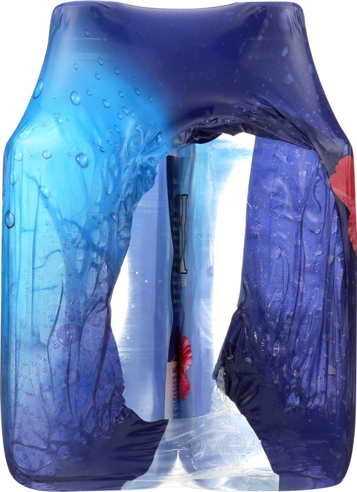 FIJI: Natural Artesian Water 6x16.9 Oz Bottles, 101.4 oz