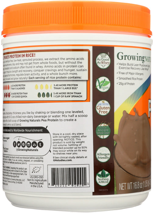GROWING NATURALS: Organic Raw Rice Protein Chocolate Power, 16.8 oz
