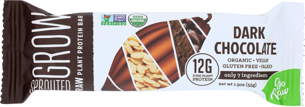 GO RAW: Dark Chocolate Protein Bar Organic, 1.9 oz - No Brand For Less 